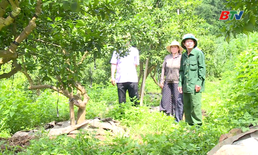 Những người l&iacute;nh gi&agrave; tr&ecirc;n trận tuyến mới