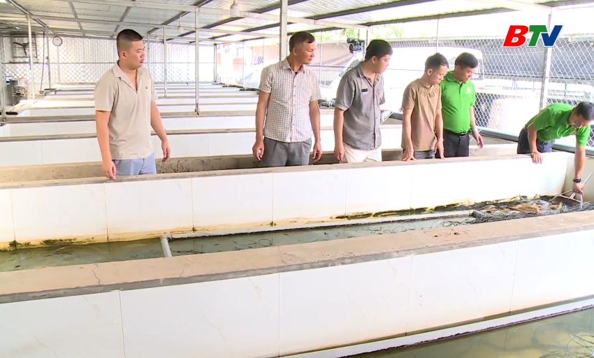N&ocirc;ng d&acirc;n l&agrave;m gi&agrave;u từ sản phẩm qu&ecirc;