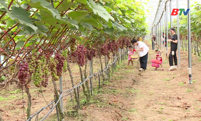 N&ocirc;ng th&ocirc;n mới: Nh&acirc;n rộng m&ocirc; h&igrave;nh kinh tế hiệu quả trong x&acirc;y dựng n&ocirc;ng th&ocirc;n mới