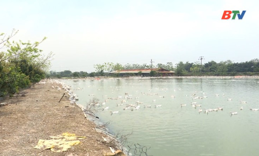  Phổ biến kiến thức: Đảm bảo an to&agrave;n sinh học trong chăn nu&ocirc;i