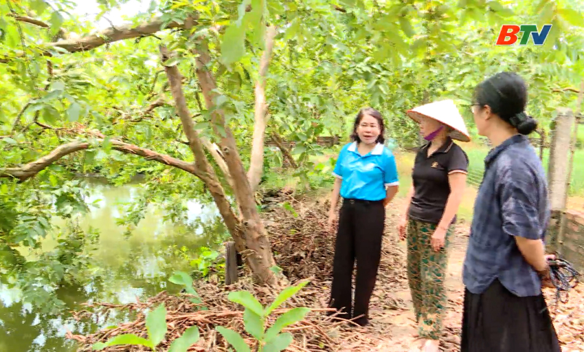 Phụ nữ h&ocirc;m nay: Đ&aacute;nh thức kh&aacute;t vọng khởi nghiệp của phụ nữ Bắc Ninh