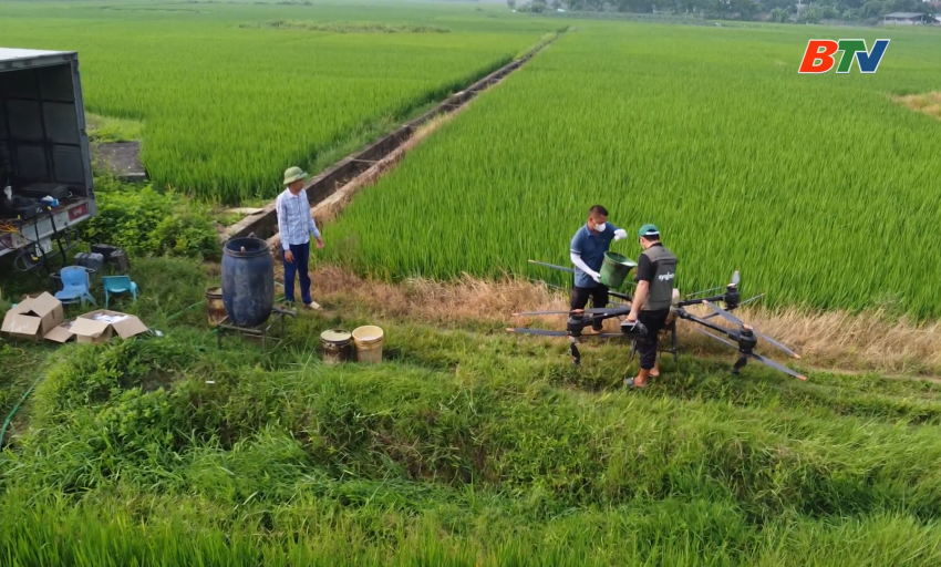 Tạp ch&iacute; N&ocirc;ng nghiệp v&agrave; M&ocirc;i trường: Ph&ograve;ng trừ s&acirc;u bệnh hại l&uacute;a