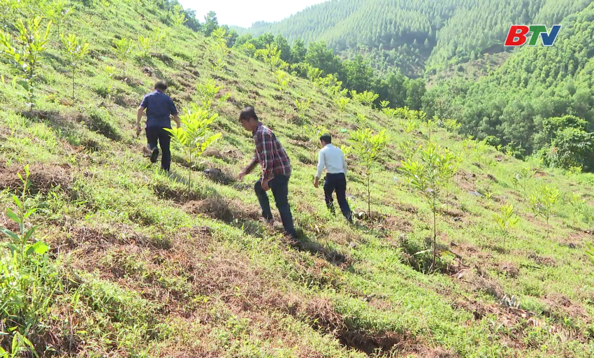 C&ocirc;ng nghệ sinh học - Động lực mới cho ph&aacute;t triển l&acirc;m nghiệp bền vững tại tỉnh Bắc Ninh