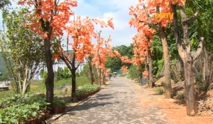 Tạp ch&iacute; du lịch ng&agrave;y 23 - 8 - 2018