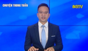 Ph&aacute;t triển sản xuất nấm ứng dụng c&ocirc;ng nghệ cao 