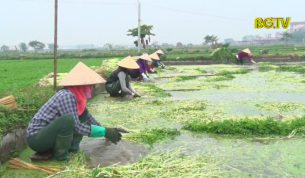 CTT: Chương tr&igrave;nh mỗi x&atilde; một sản phẩm: Chuyển từ lượng sang chất
