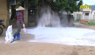 Rắc v&ocirc;i bột - Biện ph&aacute;p ph&ograve;ng chống dịch tả lợn Ch&acirc;u Phi hiệu quả