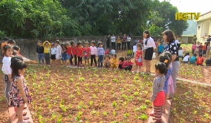 M&ocirc; h&igrave;nh vườn trải nghiệm cho b&eacute; ở trường miền n&uacute;i