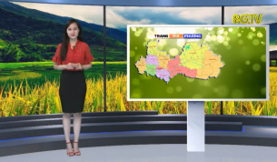 Trang truyền h&igrave;nh địa phương ng&agrave;y 05 - 08 - 2019