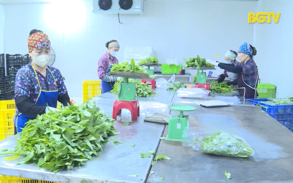 100% hộ hội vi&ecirc;n n&ocirc;ng d&acirc;n cam kết sản xuất bảo đảm an to&agrave;n thực phẩm 