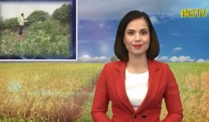 Tạp ch&iacute; N&ocirc;ng nghiệp N&ocirc;ng th&ocirc;n ng&agrave;y 18 - 11 - 2017