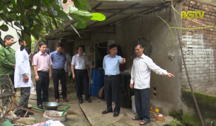 Chấn chỉnh c&ocirc;ng t&aacute;c ph&ograve;ng chống bệnh dịch tả lợn Ch&acirc;u Phi