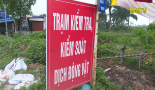 Ph&ograve;ng chống dịch tả lợn Ch&acirc;u Phi: Phải c&oacute; quyết t&acirc;m ch&iacute;nh trị xuy&ecirc;n suốt