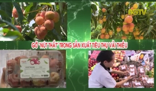 Gỡ "n&uacute;t thắt" trong sản xuất v&agrave; ti&ecirc;u thụ vải thiều