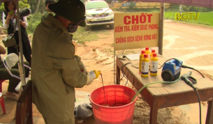 Y&ecirc;n Thế quyết liệt khống chế dịch tả lợn Ch&acirc;u Phi