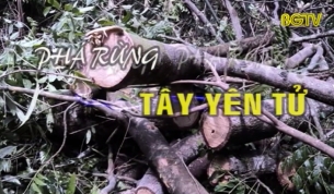Ph&aacute; rừng t&acirc;y Y&ecirc;n Tử