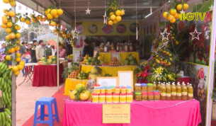Phong ph&uacute; sản phẩm đặc trưng Lục Ngạn