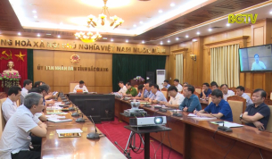 Khắc phục hạn chế,  tăng cường ph&ograve;ng chống dịch tả lợn Ch&acirc;u Phi