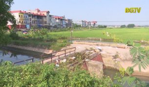 Thiếu nh&acirc;n lực xử l&yacute; x&aacute;c lợn vứt tr&ecirc;n k&ecirc;nh
