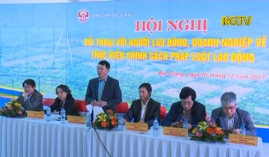 Đối thoại với doanh nghiệp về thực hiện ch&iacute;nh s&aacute;ch ph&aacute;p luật lao động
