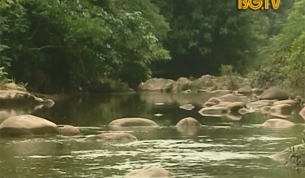 Kỳ th&uacute; suối Nước V&agrave;ng