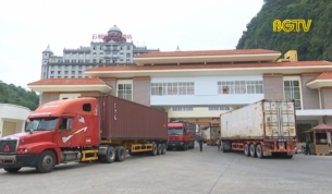 X&uacute;c tiến ti&ecirc;u thụ vải thiều: th&uacute;c đẩy thị trường Trung Quốc