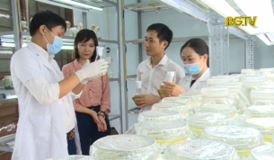 Thắp s&aacute;ng &yacute; tưởng khởi nghiệp trong thanh ni&ecirc;n