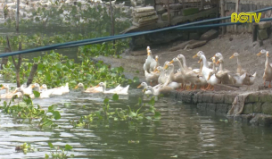 Vốn vay giải quyết việc l&agrave;m: Chưa đ&aacute;p ứng đủ nhu cầu thực tế