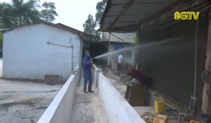 Y&ecirc;n Dũng tăng cường tuy&ecirc;n truyền ph&ograve;ng chống dịch tả lợn Ch&acirc;u Phi
