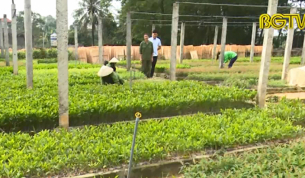 Bắc Giang ng&agrave;y mới ng&agrave;y 02 - 03 - 2019