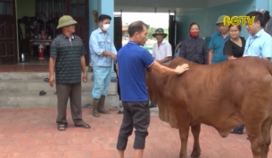 Xuất hiện gia s&uacute;c nghi mắc bệnh lở mồm long m&oacute;ng v&agrave; c&aacute;ch ph&ograve;ng tr&aacute;nh dịch bệnh