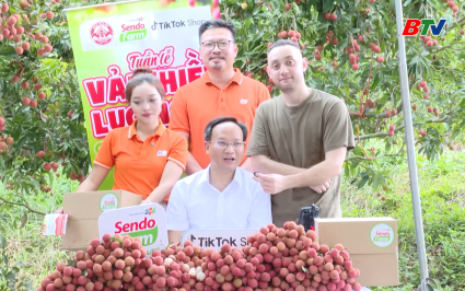 54 tấn vải được ti&ecirc;u thụ sau phi&ecirc;n livestream của PCT UBND tỉnh