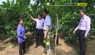T&iacute;n dụng ch&iacute;nh s&aacute;ch 15 năm đồng h&agrave;nh c&ugrave;ng người ngh&egrave;o