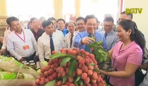 Diễn đ&agrave;n kinh tế về sản xuất, ti&ecirc;u thụ Vải thiều v&agrave; c&aacute;c n&ocirc;ng sản