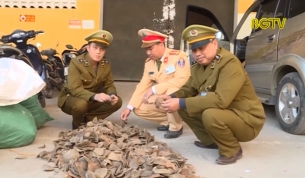 Ph&aacute;t hiện v&agrave; thu giữ hơn 200kg vẩy t&ecirc; t&ecirc;