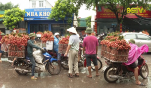 Tạo điều kiện thuận lợi cho thương nh&acirc;n Trung Quốc thu mua vải thiều