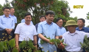 Bộ trưởng Bộ NN&PTNT l&agrave;m việc tại Bắc Giang
