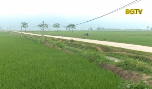 K&ecirc;nh tưới T2 trạm bơm Cổ Dũng hoạt động kh&ocirc;ng hiệu quả
