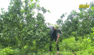 Thanh ni&ecirc;n d&acirc;n tộc l&agrave;m kinh tế giỏi
