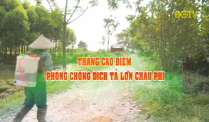 Th&aacute;ng cao điểm ph&ograve;ng chống dịch tả lợn Ch&acirc;u Phi