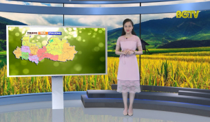 Trang truyền h&igrave;nh địa phương ng&agrave;y 29 - 07 - 2019