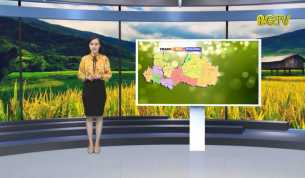 Trang truyền h&igrave;nh địa phương ng&agrave;y 12 - 08 - 2019 	