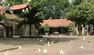 Ch&ugrave;a Vĩnh Nghi&ecirc;m