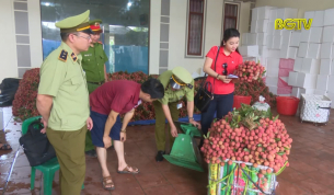 Chống bu&ocirc;n lậu: Nh&igrave;n lại hoạt động kiểm so&aacute;t đầu c&acirc;n vải