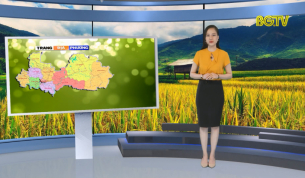 Trang truyền h&igrave;nh địa phương ng&agrave;y 22 - 07 - 2019