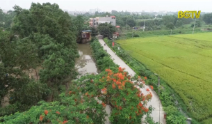 "L&agrave;ng năng suất xanh"