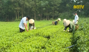 Tạp ch&iacute; N&ocirc;ng nghiệp N&ocirc;ng th&ocirc;n ng&agrave;y 15 - 12 - 2018