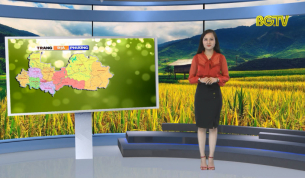 Trang truyền h&igrave;nh địa phương ng&agrave;y 15 - 07 - 2019