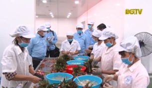 X&acirc;y dựng chỉ dẫn địa l&yacute; cho Vải Thiều tại Nhật