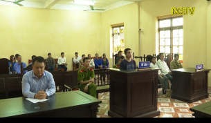 X&eacute;t xử vụ &aacute;n ph&aacute; rừng tr&aacute;i ph&eacute;p ở Sơn Động